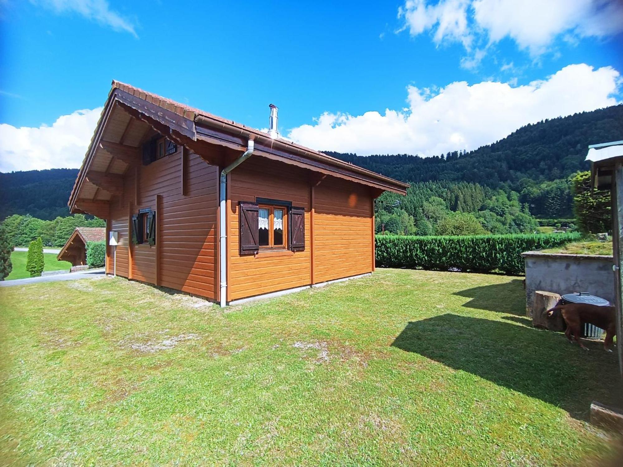 Le "Chalet De Minette" 2 Etoiles La Bresse Exterior foto